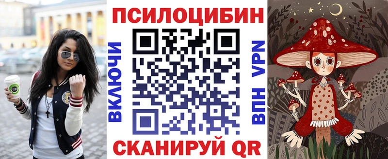 Псилоцибиновые грибы Magic Shrooms  omg ТОР  Жердевка  купить наркоту 