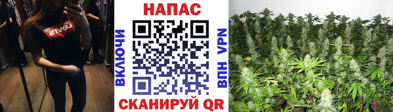 мега наркотики Жердевка Бошки марихуана OG Kush
